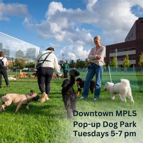 Downtown Dogs Minneapolis .
